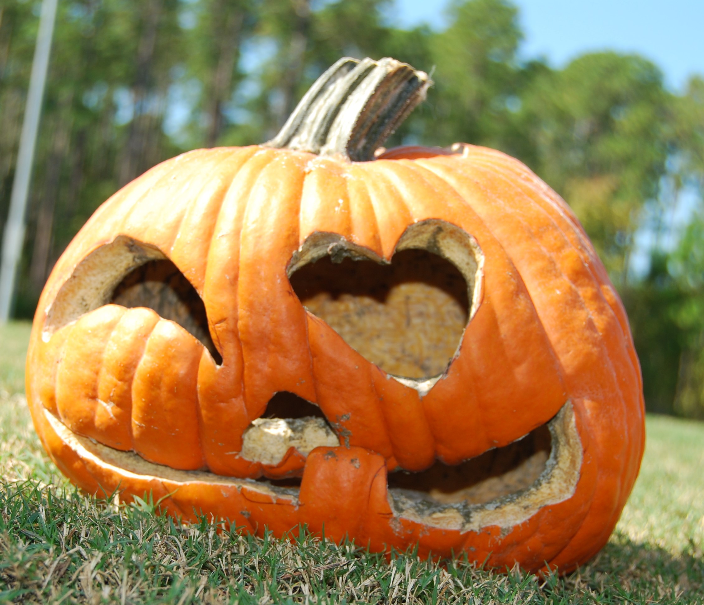 #5 - Heart-Eyed Jack-O'-Lantern