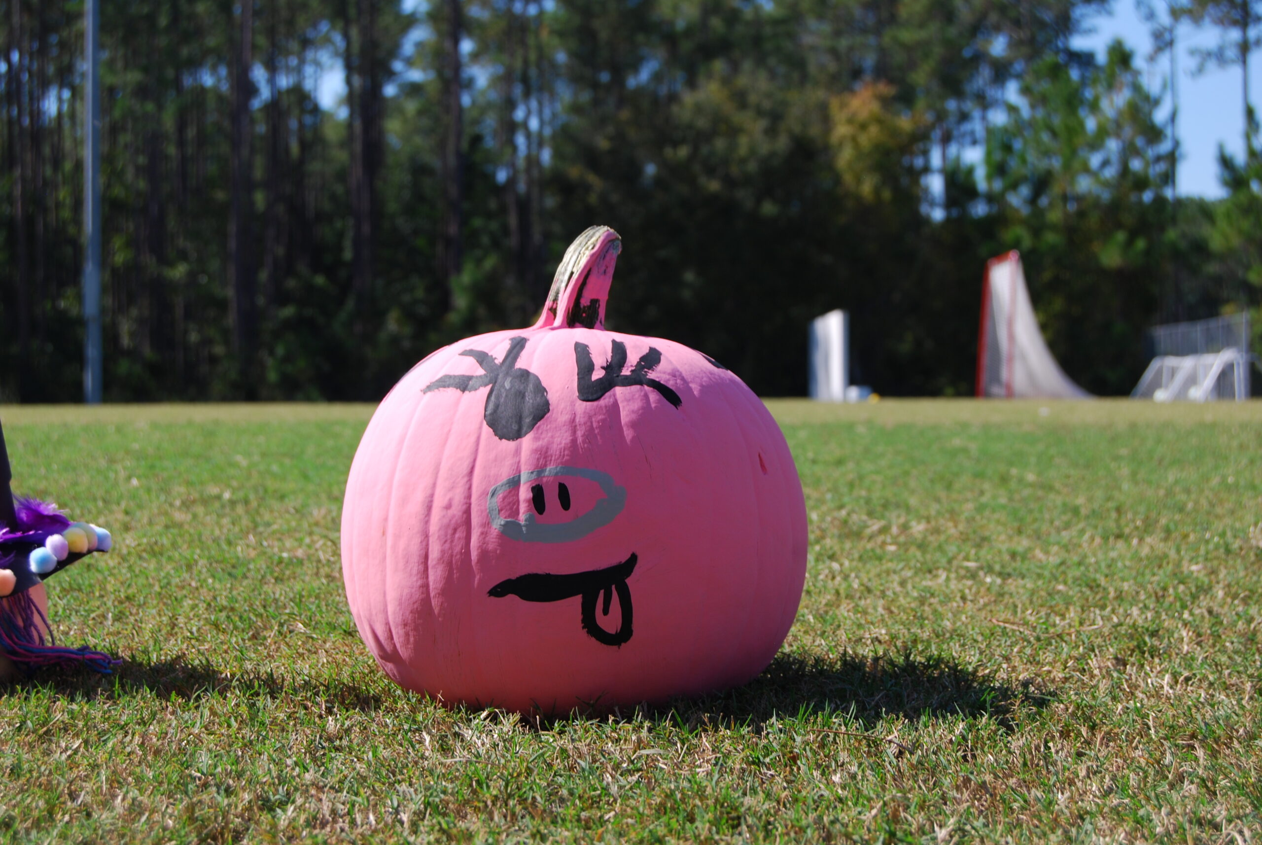 #10 - Pirate Pig Pumpkin