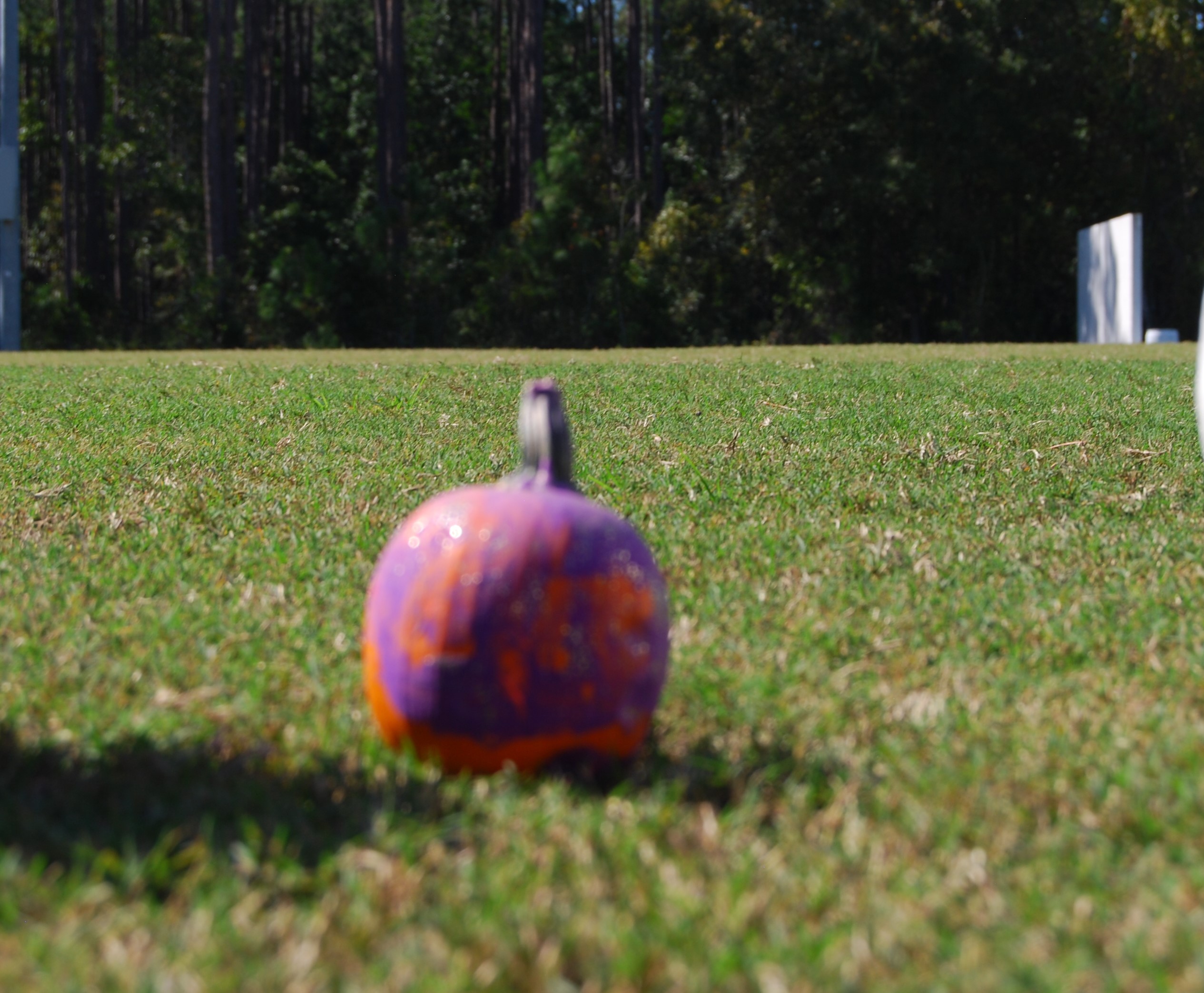 #4 - Purple Sparkles Pumpkin