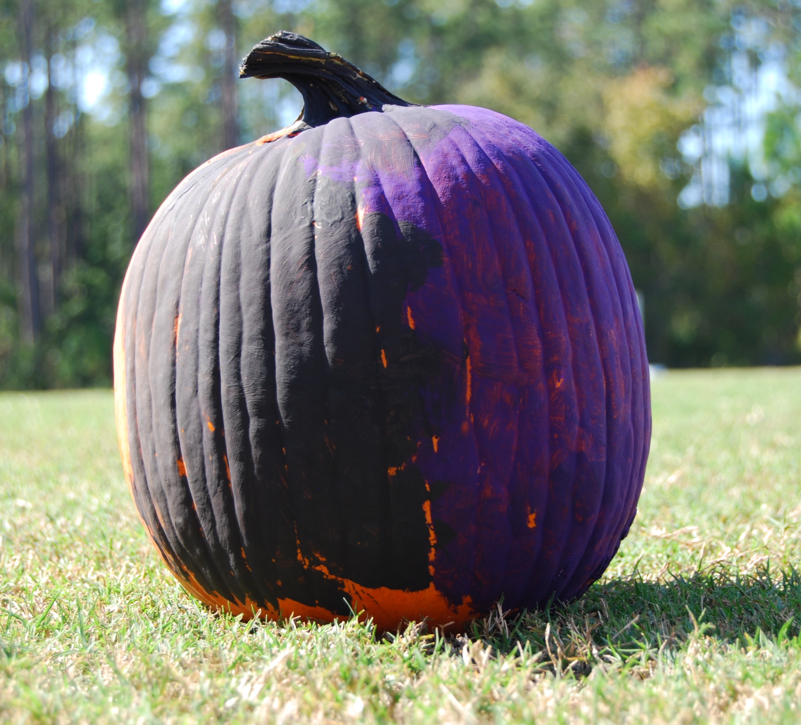 #5 - Half Black, Half Purple Pumpkin