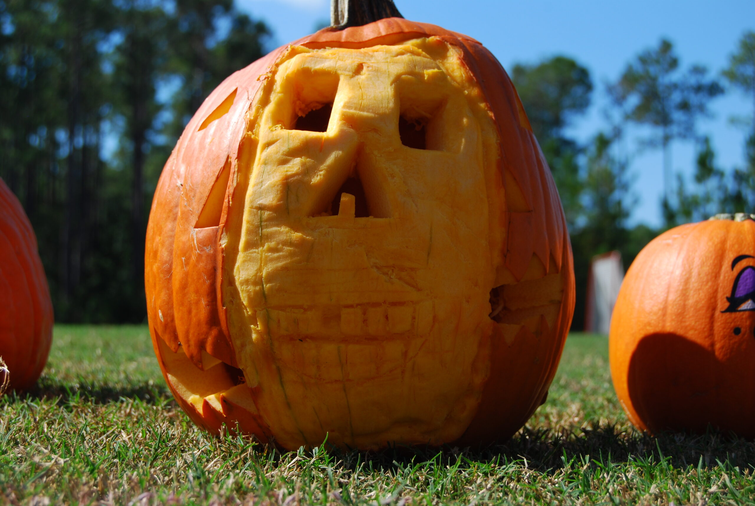 #7 - Skull Carved Pumpkin