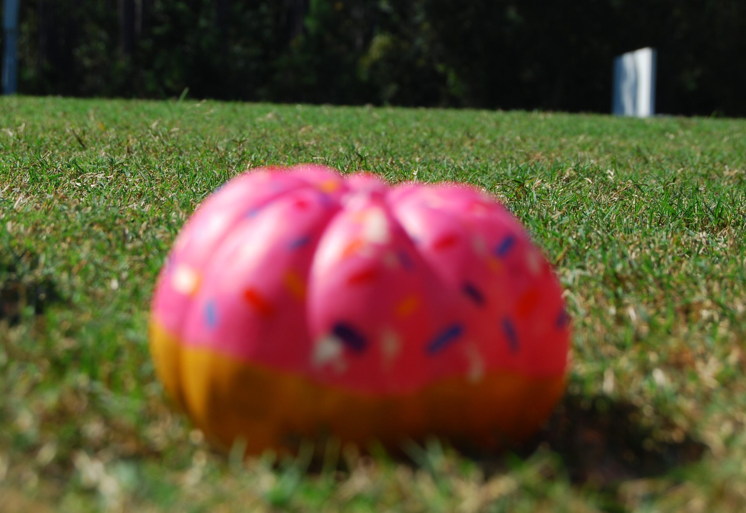 #8 - Pink Donut Pumpkin